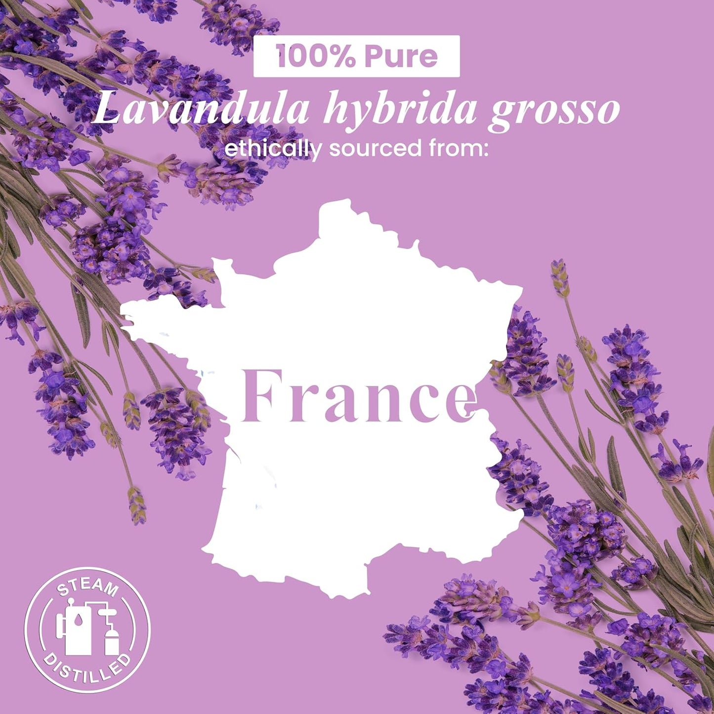 Essential Oil – 100% Pure & Natural – Large 4 oz Premium Grade for Diffusers, Aromatherapy, Massage, Candles & Soap Making