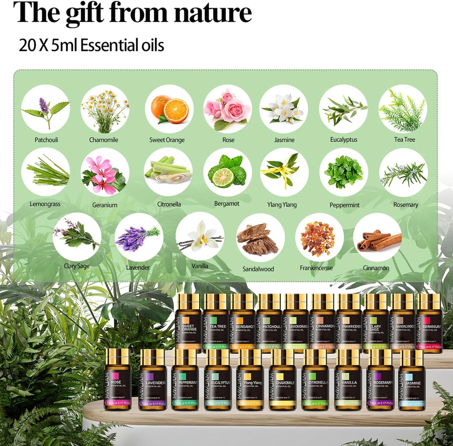 MAYJAM 20-Piece Essential Oil Set – 5ML Each